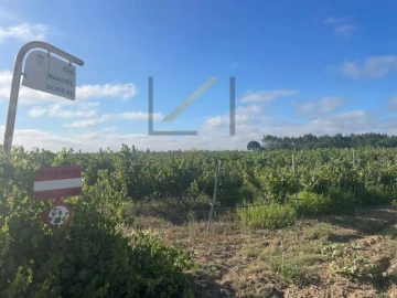 Terreno Agricola ou Rústico para Venda em Poceirão e Marateca