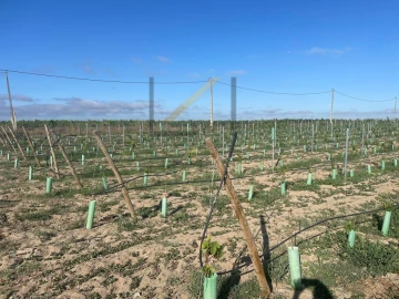 Terreno Agricola ou Rústico para Venda em Poceirão e Marateca