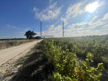 Terreno Agricola ou Rústico para Venda em Poceirão e Marateca