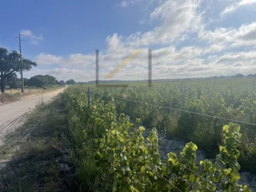 Terreno Agricola ou Rústico para Venda em Poceirão e Marateca