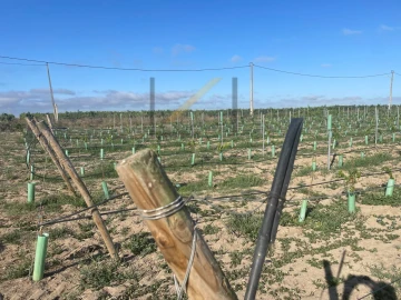 Terreno Agricola ou Rústico para Venda em Poceirão e Marateca