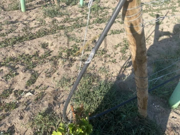 Terreno Agricola ou Rústico para Venda em Poceirão e Marateca