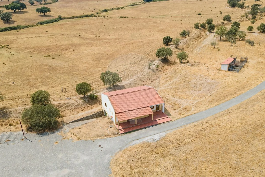 Negócio para Venda em Cunheira Foto 19