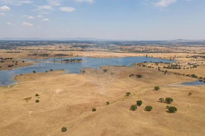 Negócio para Venda em Cunheira