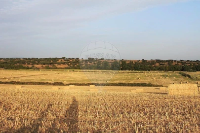 Negócio para Venda em Cunheira