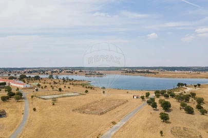 Negócio para Venda em Cunheira
