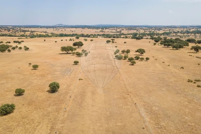 Negócio para Venda em Cunheira