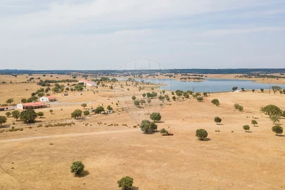 Negócio para Venda em Cunheira