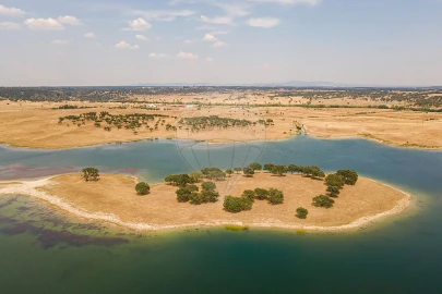 Negócio para Venda em Cunheira