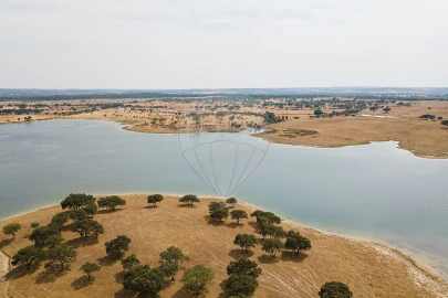 Negócio para Venda em Cunheira