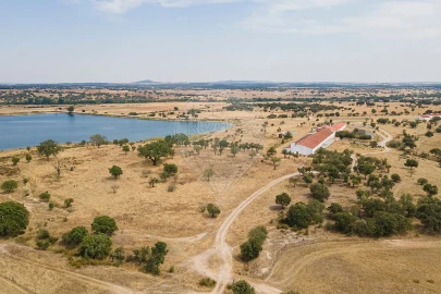 Negócio para Venda em Cunheira