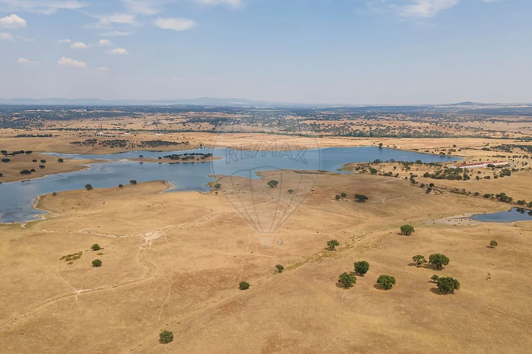Negócio para Venda em Cunheira Foto 27