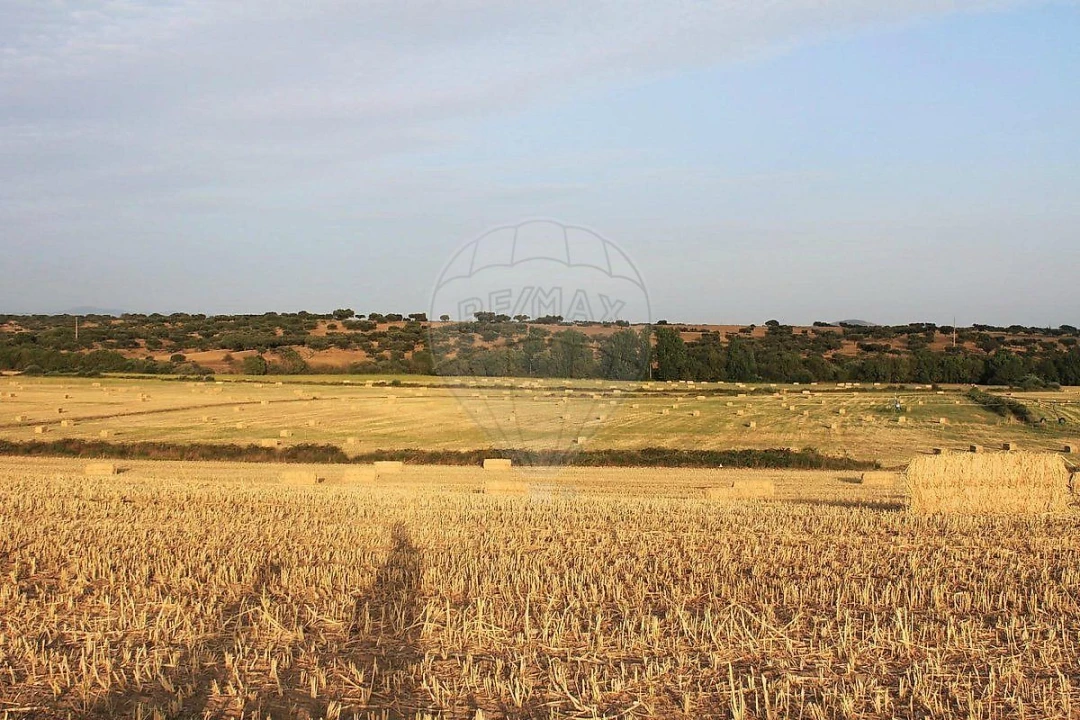 Negócio para Venda em Cunheira Foto 13