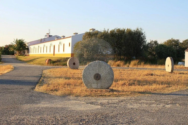 Negócio para Venda em Cunheira Foto 6