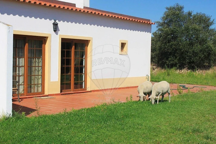 Negócio para Venda em Cunheira Foto 2