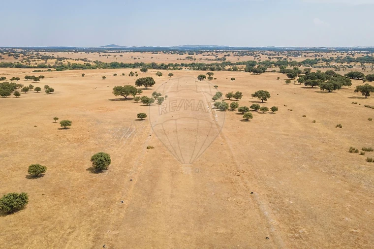 Negócio para Venda em Cunheira Foto 29