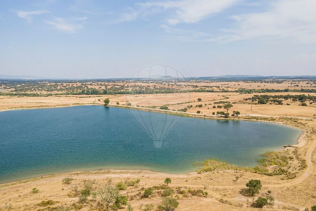 Negócio para Venda em Cunheira Foto 10