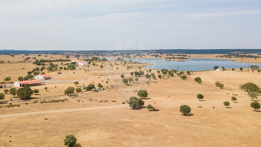Negócio para Venda em Cunheira