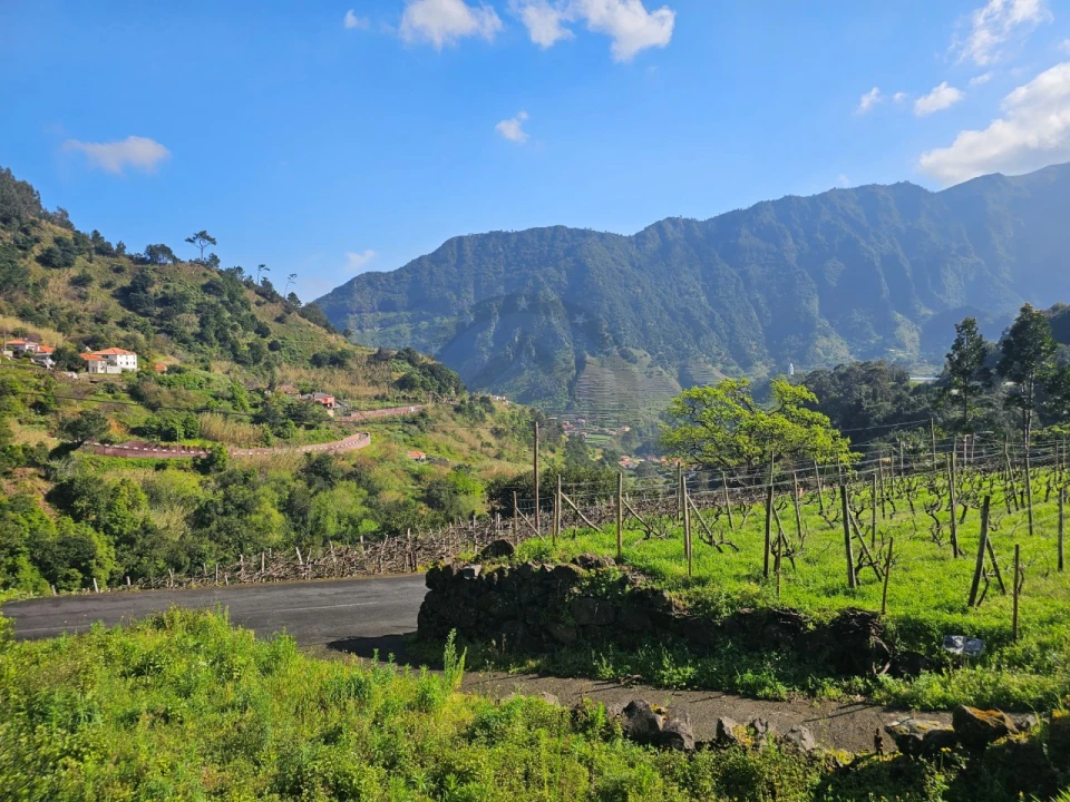Terreno Agricola ou Rústico para Venda em São Vicente Foto 13