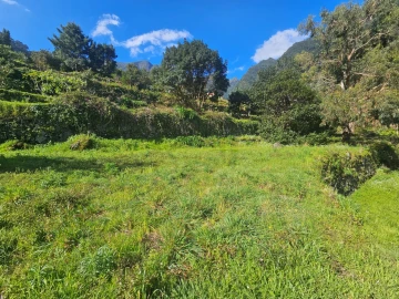 Terreno Agricola ou Rústico para Venda em São Vicente