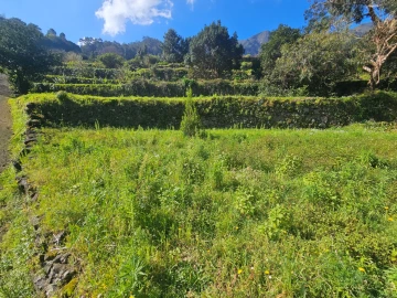 Terreno Agricola ou Rústico para Venda em São Vicente