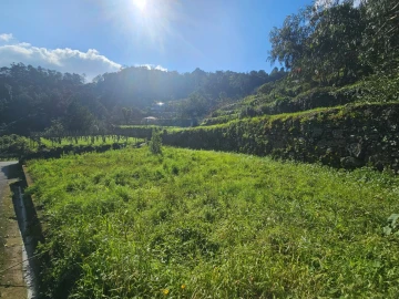 Terreno Agricola ou Rústico para Venda em São Vicente