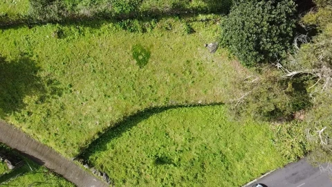 Terreno Agricola ou Rústico para Venda em São Vicente
