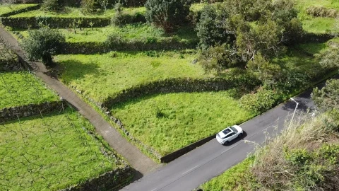 Terreno Agricola ou Rústico para Venda em São Vicente