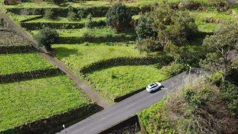 Terreno Agricola ou Rústico para Venda em São Vicente