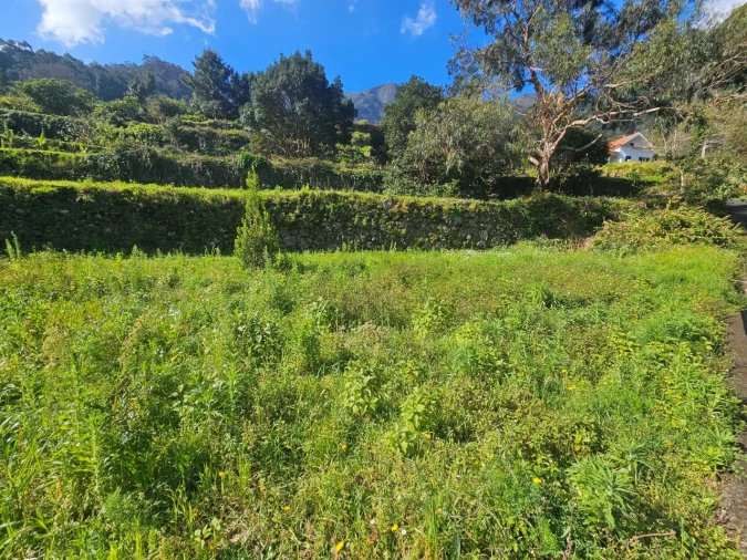 Terreno Agricola ou Rústico para Venda em São Vicente Foto 7