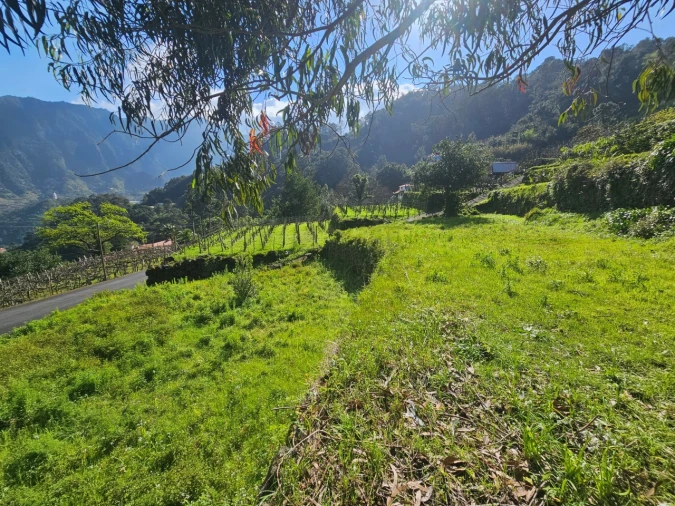 Terreno Agricola ou Rústico para Venda em São Vicente Foto 10