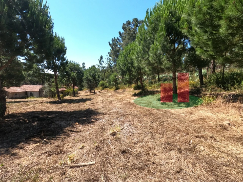 Moradia T1 para Venda em Asseiceira Foto 15