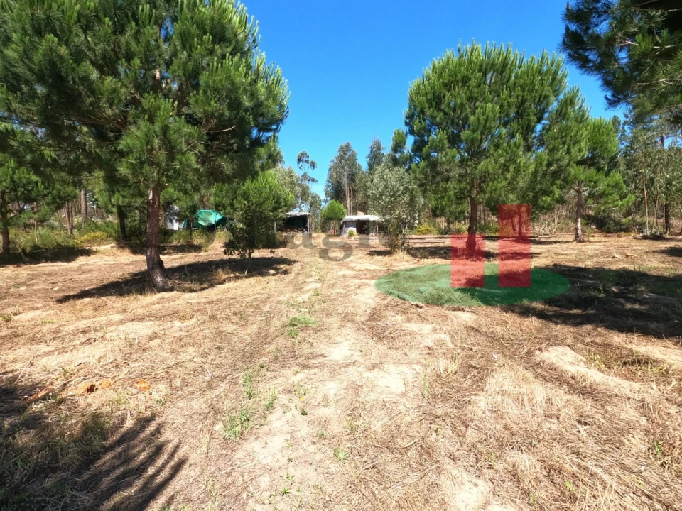 Moradia T1 para Venda em Asseiceira Foto 2