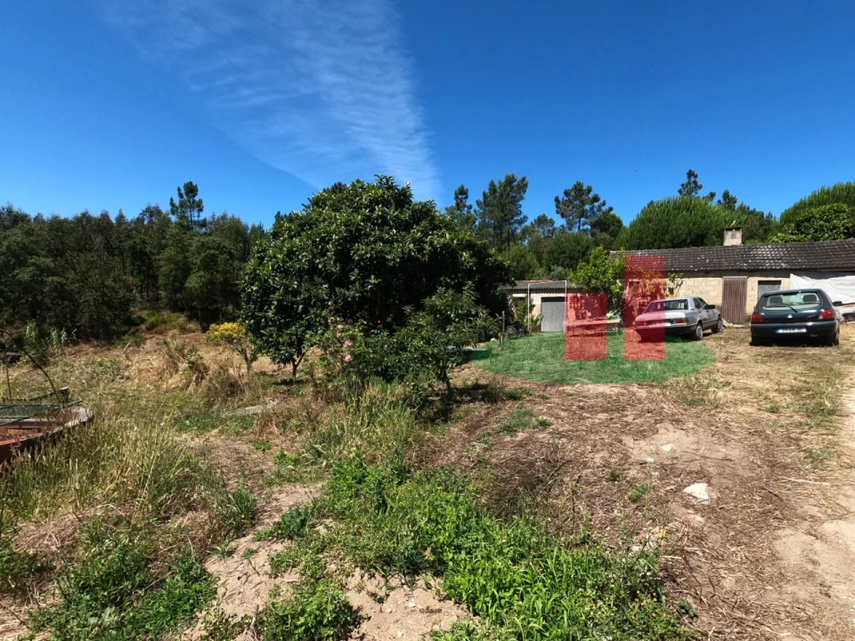 Moradia T1 para Venda em Asseiceira Foto 20