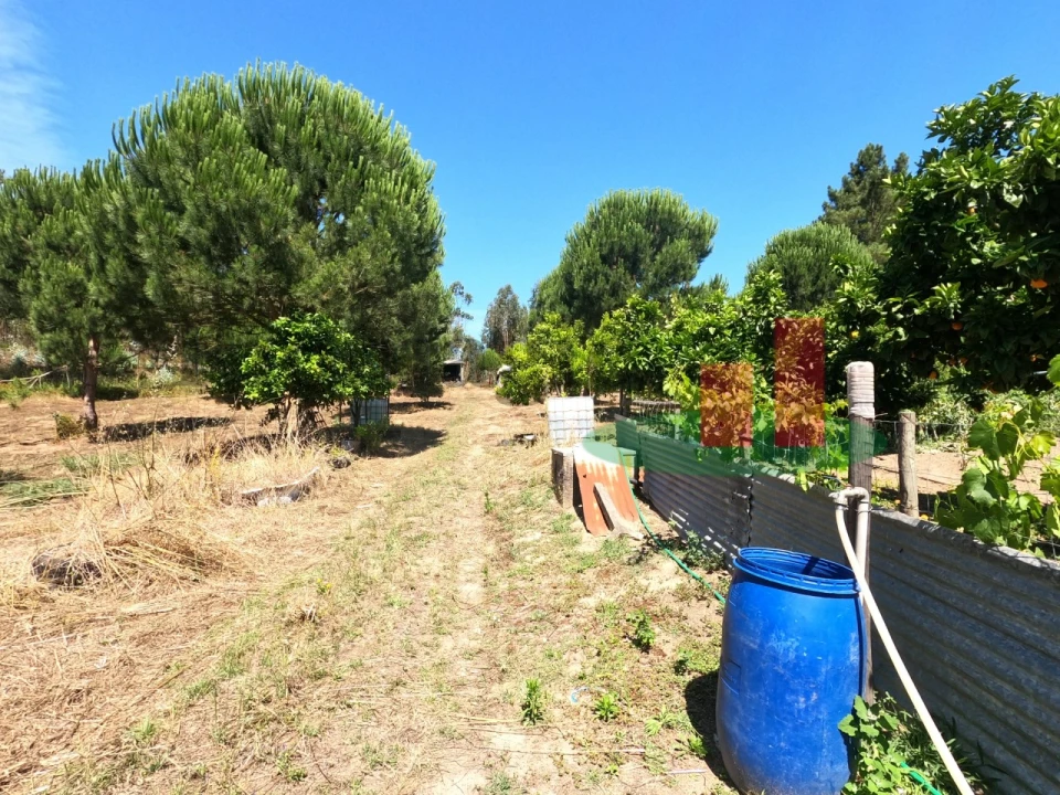 Moradia T1 para Venda em Asseiceira Foto 26