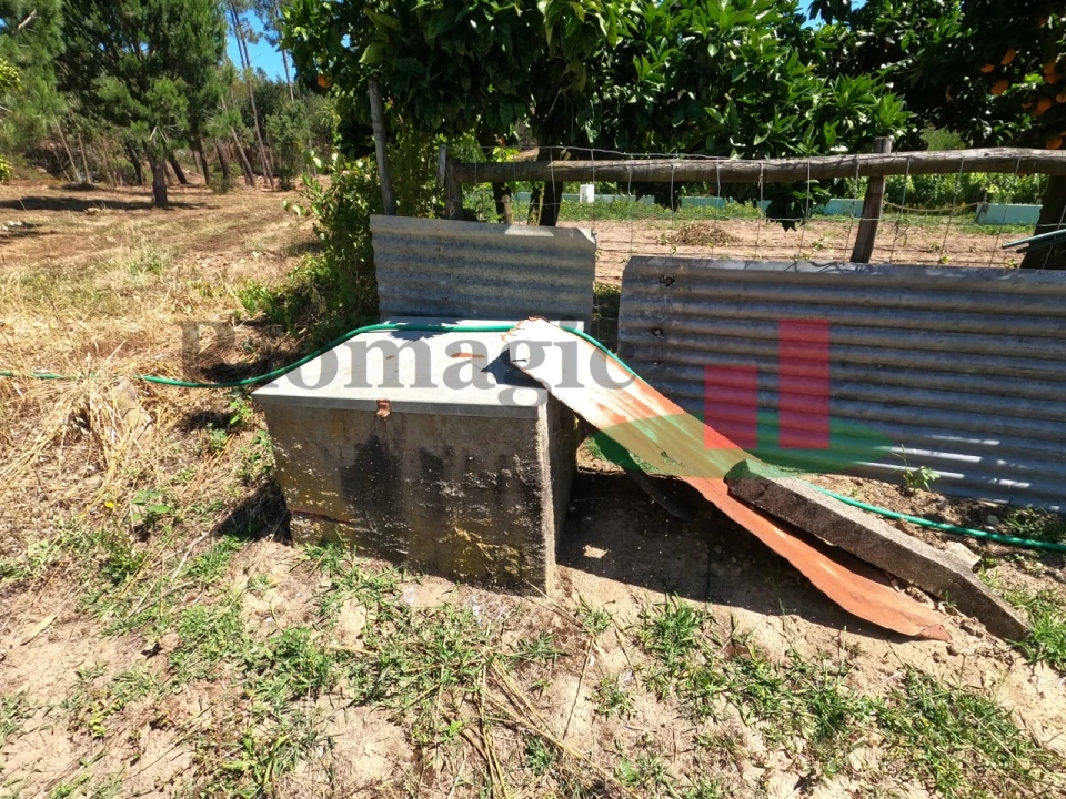 Moradia T1 para Venda em Asseiceira Foto 29