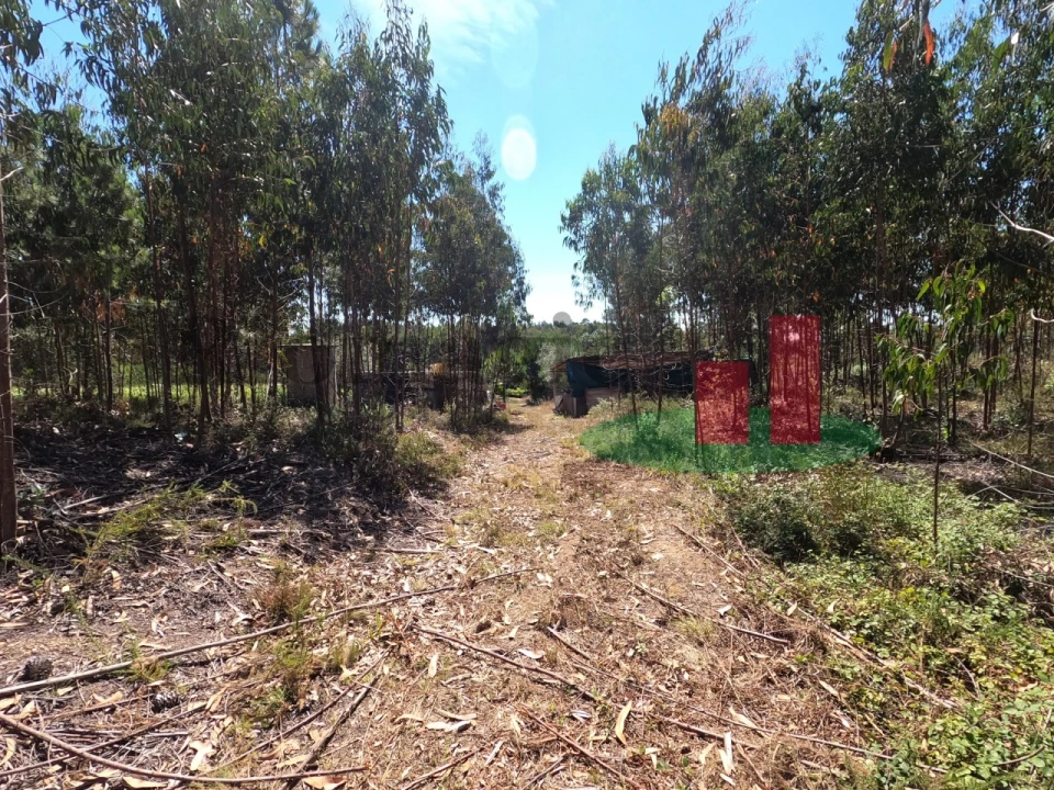 Moradia T1 para Venda em Asseiceira Foto 39