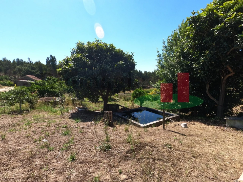 Moradia T1 para Venda em Asseiceira Foto 43