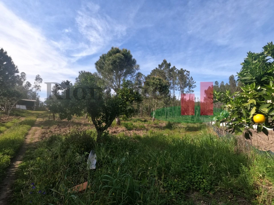 Moradia T1 para Venda em Asseiceira Foto 60