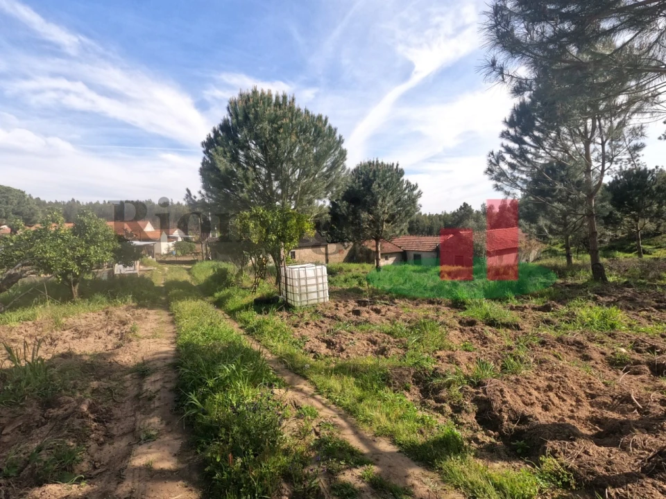 Moradia T1 para Venda em Asseiceira Foto 64