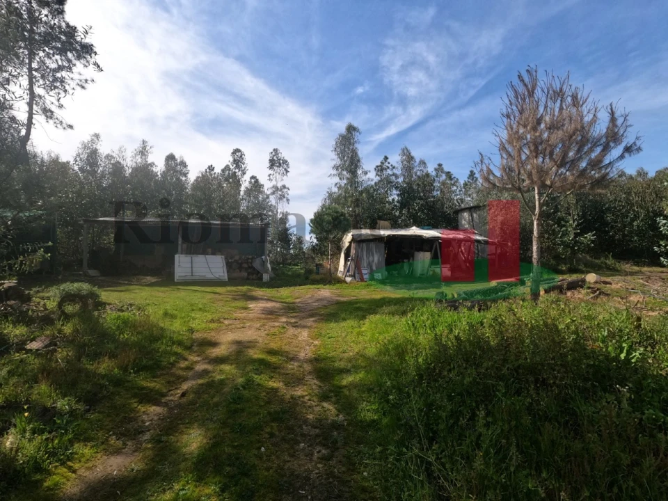 Moradia T1 para Venda em Asseiceira Foto 67