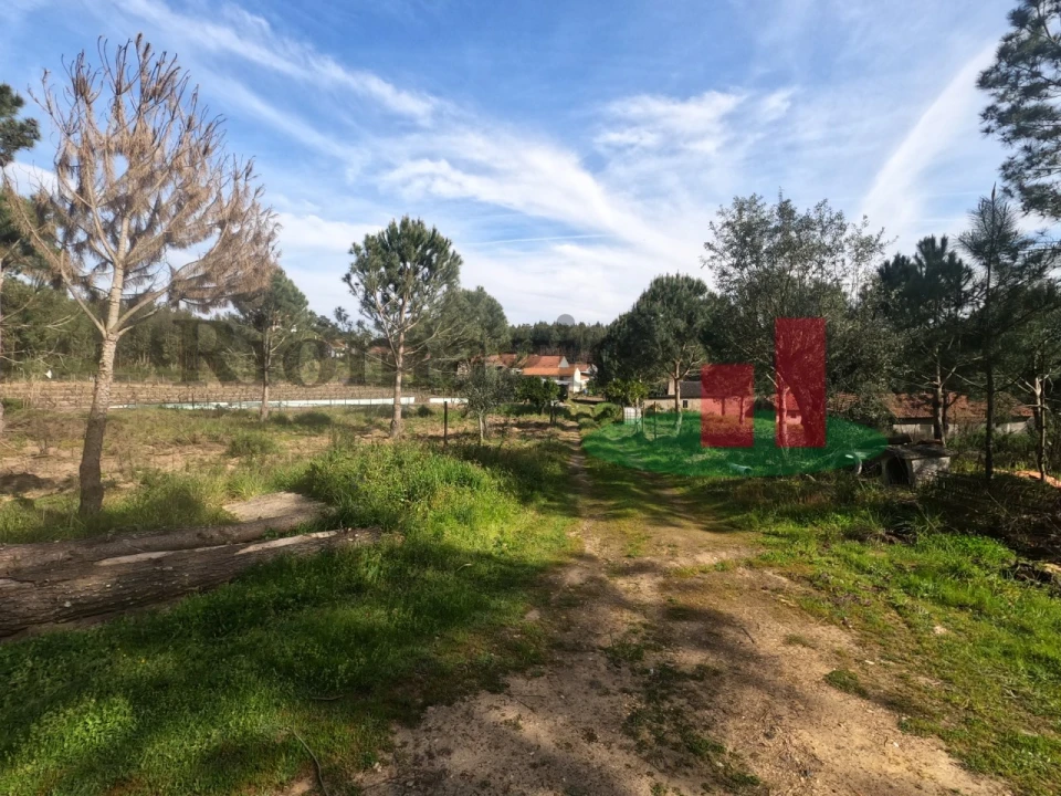 Moradia T1 para Venda em Asseiceira Foto 72