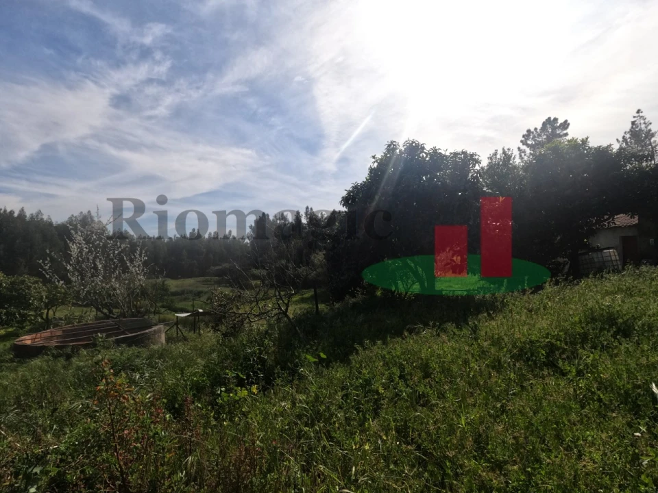 Moradia T1 para Venda em Asseiceira Foto 73