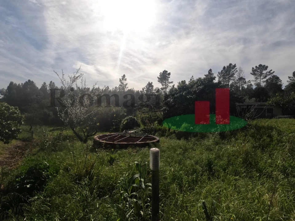 Moradia T1 para Venda em Asseiceira Foto 76