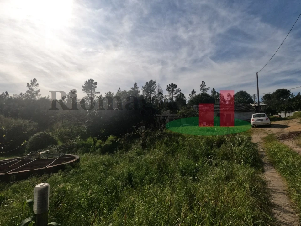 Moradia T1 para Venda em Asseiceira Foto 77