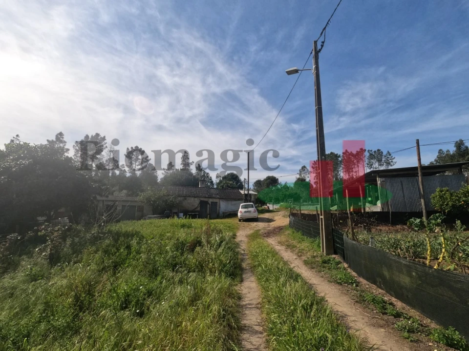 Moradia T1 para Venda em Asseiceira Foto 78