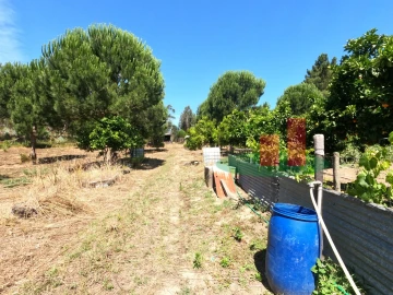 Moradia T1 para Venda em Asseiceira