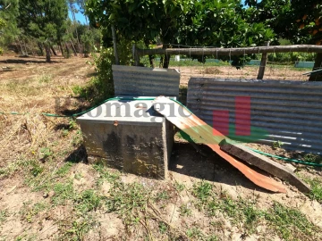 Moradia T1 para Venda em Asseiceira