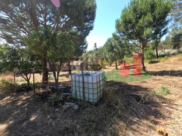 Moradia T1 para Venda em Asseiceira