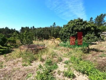 Moradia T1 para Venda em Asseiceira